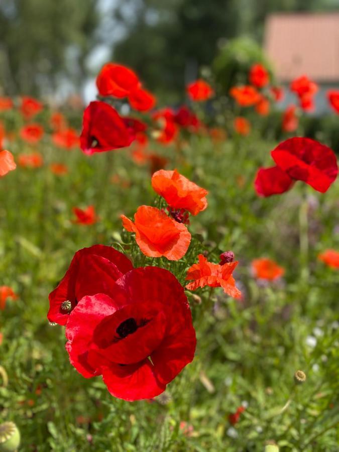 ברוז' Boutique Hotel Het Bloemenhof מראה חיצוני תמונה