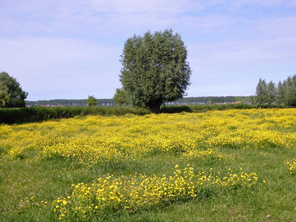 ברוז' Boutique Hotel Het Bloemenhof מראה חיצוני תמונה